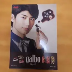 ⭐三浦春馬⭐ 明治 galbo クリアファイル 新品