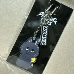 RIIZE ライズ アクキー アクリルキーホルダー ウォンビン