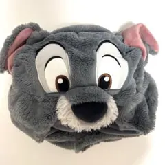 トランプ ファンキャップ