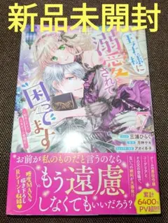 【みぃ様専用】リクエスト 2点 まとめ商品