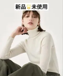 UNIQLO エクストラファインメリノリブタートルネックセーター　S