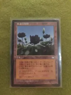 MTG 焦土 水蓮の谷間 日本語版＋英語版 4枚セット 2026年最新】水蓮の谷間の人気アイテム - メルカリ