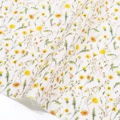 Item thumbnail for item 36b90039-48f9-4ef3-bac4-c10685f05209