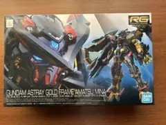 RG 1/144 ガンダムアストレイ ゴールドフレーム天ミナ