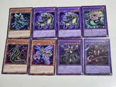 捕食植物　セット　オフリススコーピオ　アンブロメリドゥス　ドラゴスタぺリア