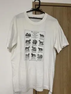 ビショップ　Tシャツ　犬