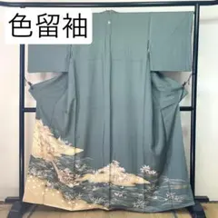 ［ 色留袖 ］正絹　灰緑　松　菊　おもだか　梅　桜　流水　舟　一つ紋　着物