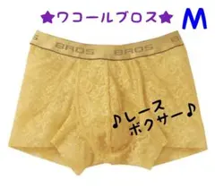 Item thumbnail for item cf4b392c-d7f5-4f00-bb54-21a976d30f6b