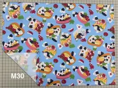 ランチョンマット ハンドメイド 男の子 30x40 [M30]