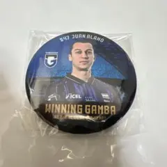 Item thumbnail for item 250b38fa-1f52-4ffb-acd7-7bf951366649