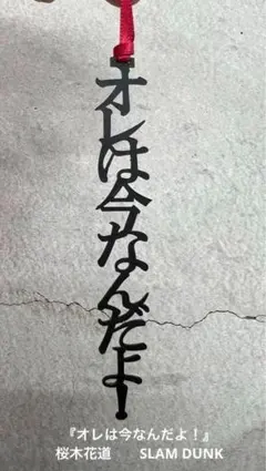 モモ✩⃝様 リクエスト 2点 まとめ商品