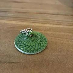 ハリーポッター ガチャガチャ 「ウィーズリー・ウィザード・ウィーズ」の商品の一つ