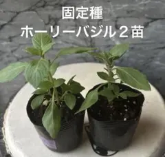 take様 リクエスト 3点 まとめ商品