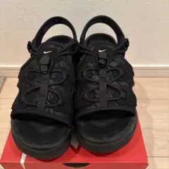 ヒ*ロ様 【今期新作カラー】ナイキ エア マックス ココ⭐︎ブラック×レース⭐︎ 2025年 9/27 発売予定】NIKE AIR MAX 95 BIG BUBBLE OG “Black
