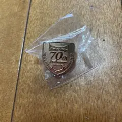 少林寺拳法　70th Anniversary Badge 金色 記念バッジ