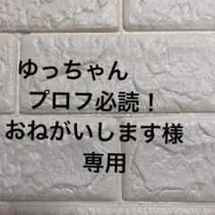 専用品です