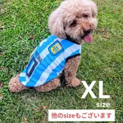 犬服 アルゼンチン代表 サッカーユニフォーム XXL - メルカリ