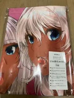 新品未使用品 葵渚先生 キャラクター「アネット」「リリアナ 葵渚 B2 スエード タペストリー アネットさんとリリアナさん