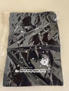 Item thumbnail for item ddc3ed13-c564-49b2-ac6d-7c2c4a8336e1