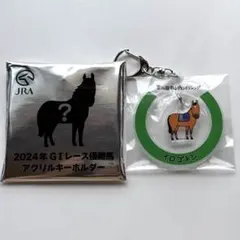 2026年最新】おがわじゅり jraの人気アイテム - メルカリ