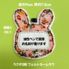 Item thumbnail for item a81a8635-155c-4a8b-b33a-fd508b0f5721