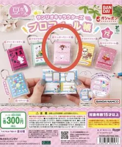 豆ガシャ本 サンリオキャラクターズ「プロフィール帳」 1個