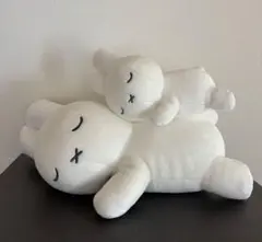 Item thumbnail for item ceb95f85-f349-450e-972f-4f96ade5ca26