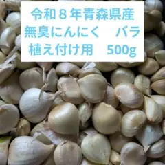 令和８年青森県産無臭にんにくバラ500g植え付け用　栽培期間中農薬不使用のサムネイル