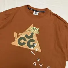 ACG NIKE DRI-FIT LOOSE FIT ブラウン Tシャツ tee