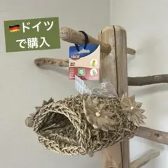 버드 텐트에 문제가 생겼어요
