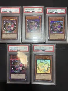 PSA10 ブラックマジシャンガール ホロ クオシク 25th ホログラフィック