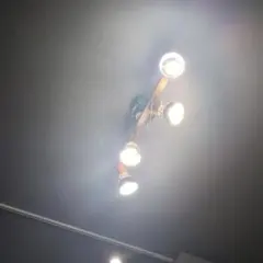 Item thumbnail for item 16d7f53d-8a08-48e9-be80-ba81117f78d4