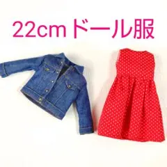 ハンドメイド☆22㎝ドール用お洋服4点SET - メルカリ