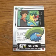 ポケットモンスター アドバンスジェネレーション 「ケムッソ＆ハルカ