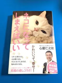 Item thumbnail for item 93f3efe1-3b23-487b-87a8-72868b679576