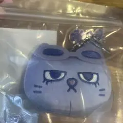 BOYNEXTDOOR BBNEXDO ボネクド　プネクド キーリング　テサン