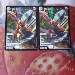194 燃えるデットソード