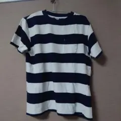 チャンピオン パイル生地 ボーダー Tシャツのサムネイル