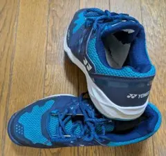 Item thumbnail for item 6f1f1e5b-3d12-464a-b31f-2485df6c4934