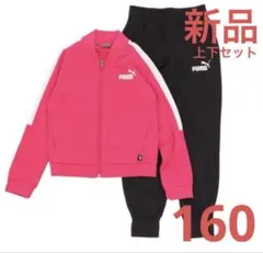 新品 PUMA ジャージ 上下セット ピンク 160