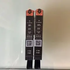 Canon 純正インクカートリッジ BCI-381 BK 2本セット