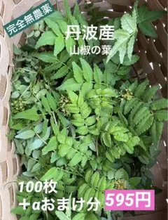 2026年最新】山椒の葉 無農薬の人気アイテム - メルカリ