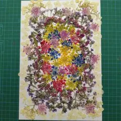 2025年最新】イエロー系ドライフラワー花材の人気アイテム