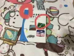 地球温暖化を解決したい 小西雅子