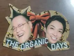 アインシュタイン タレント・お笑い芸人