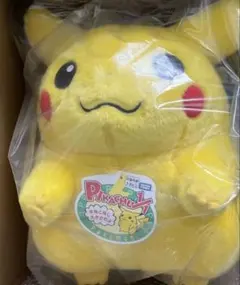 ポケットモンスター ポケモン ポケモン30周年 おかえりピカチュウ1／1