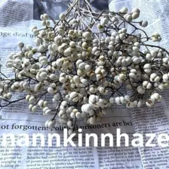 ナンキンハゼの実 ２０本・ドライフラワー・リース・花材