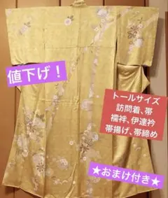 躾糸付未使用 夏着物 絽 160cm ポリエステル 洗える付下げ訪問着 u405 