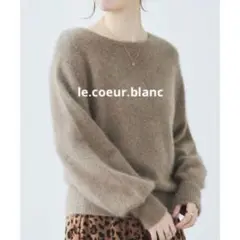 チャイニーズラクーン