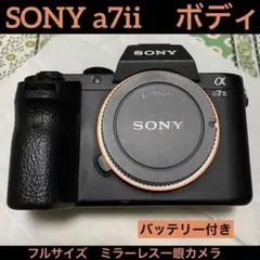 2026年最新】sony α7IIの人気アイテム - メルカリ